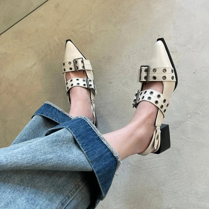Mary Jane Pointy Shoes for Women Skirt Small Leather Shoes Retro Chunky Single Shoes for Women