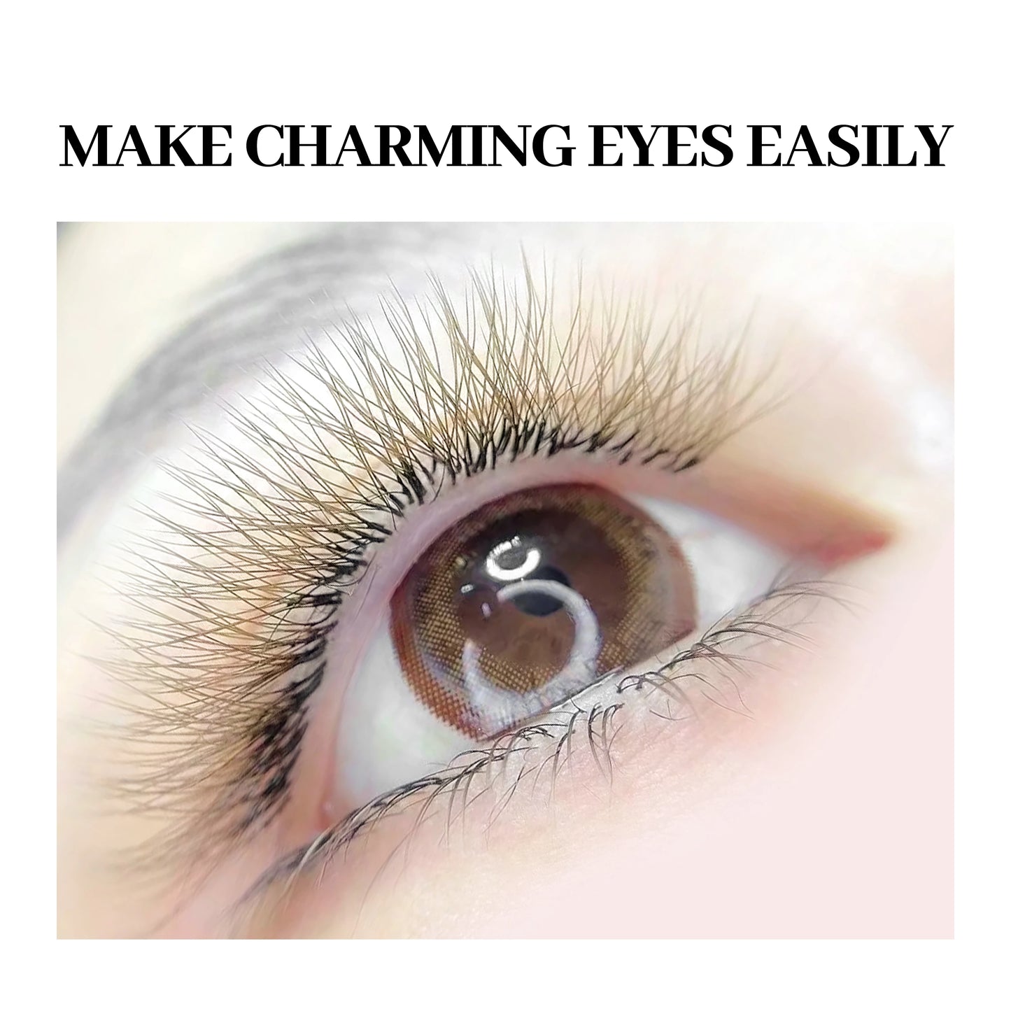 Brown 3D W-Shaped Eyelashes Extensions 3 Tips C/D Curl High Quality Individual Premade Volume Fans False Lashes Shop