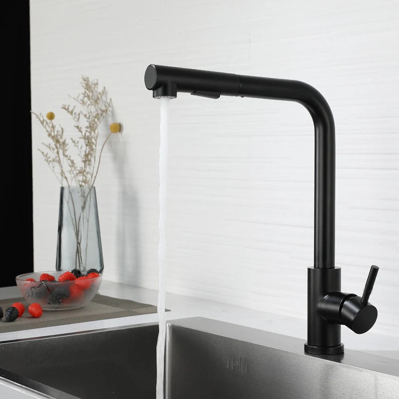 Black Pull-Out Kitchen Faucet Stainless Steel 2-Mode Sprayer Hot & Cold Tap