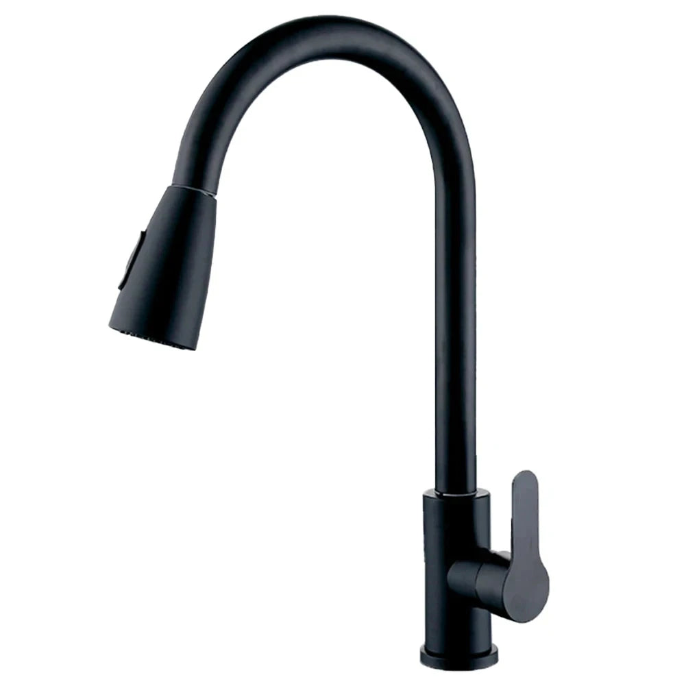 Black Pull-Out Kitchen Faucet Stainless Steel 2-Mode Sprayer Hot & Cold Tap