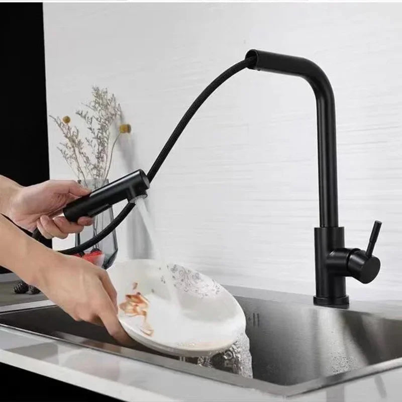 Black Pull-Out Kitchen Faucet Stainless Steel 2-Mode Sprayer Hot & Cold Tap