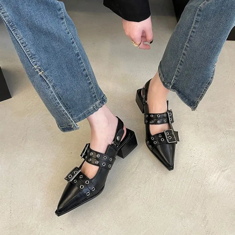 Mary Jane Pointy  Shoes for Women Skirt Small Leather Shoes Retro Chunky Single Shoes for Women