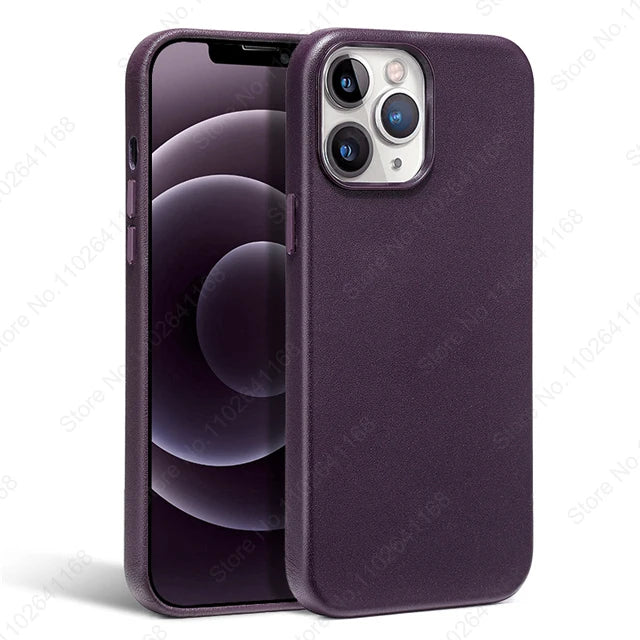 Animated Leather Case for iPhone MagSafe Magnetic Wireless Charging Cover