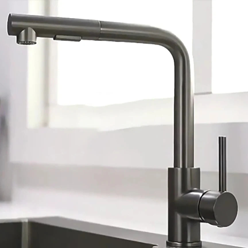 Black Pull-Out Kitchen Faucet Stainless Steel 2-Mode Sprayer Hot & Cold Tap